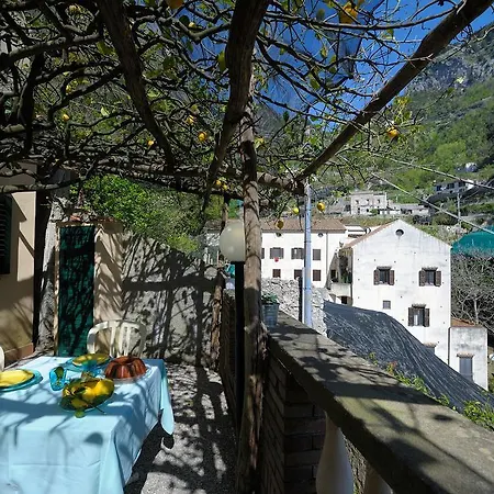 Lemon Garden * Amalfi