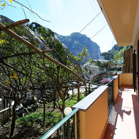 Lemon Garden Amalfi